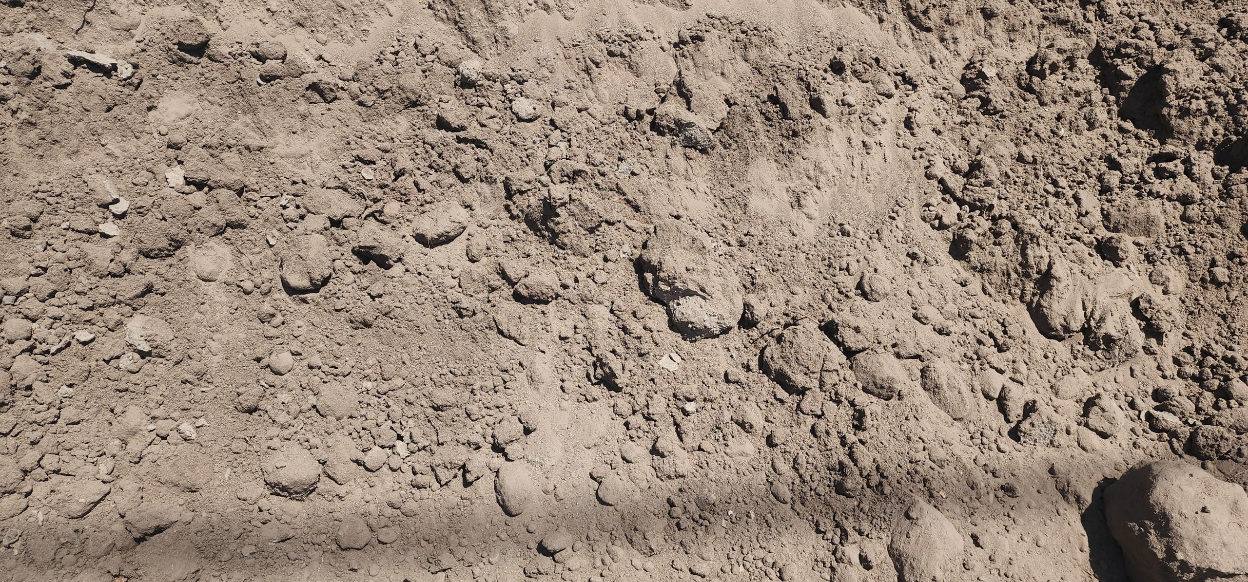 Sandy Loam 1/2 yard