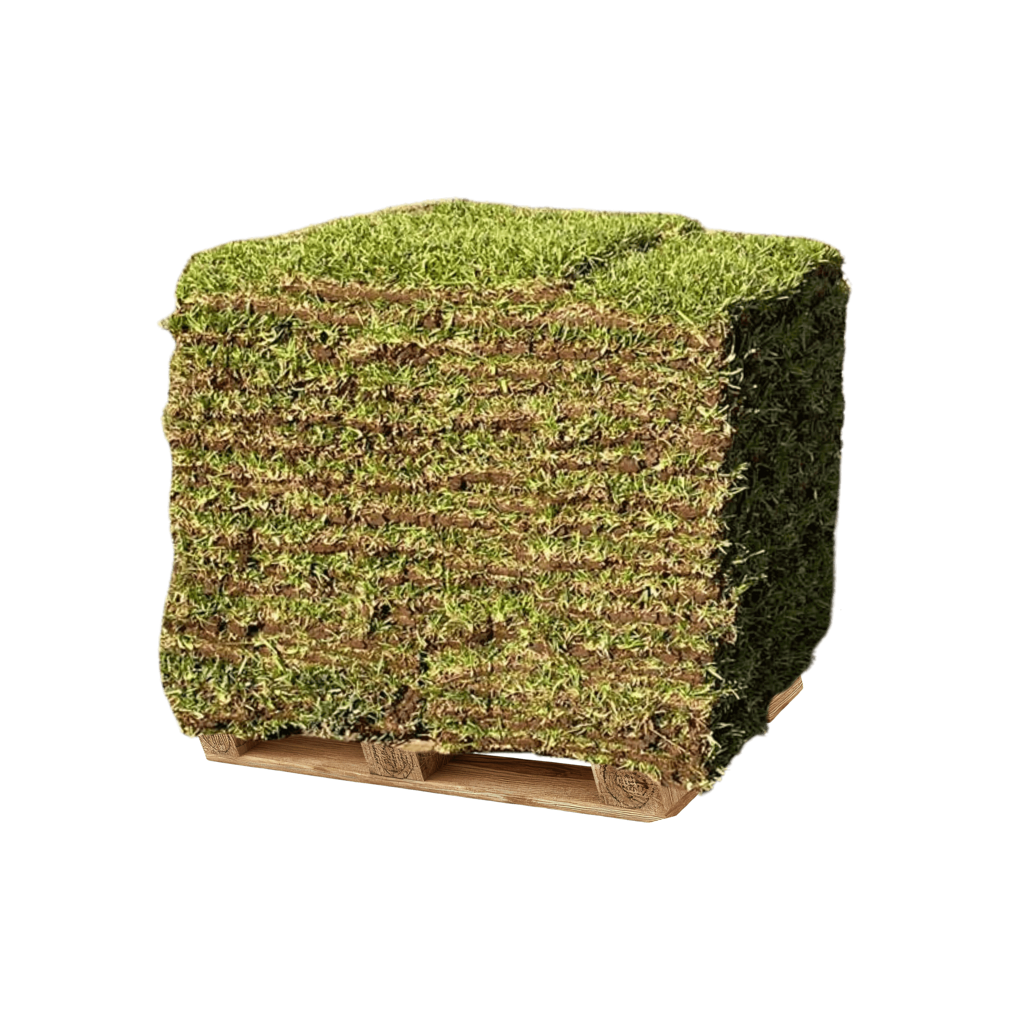 Grass Special
