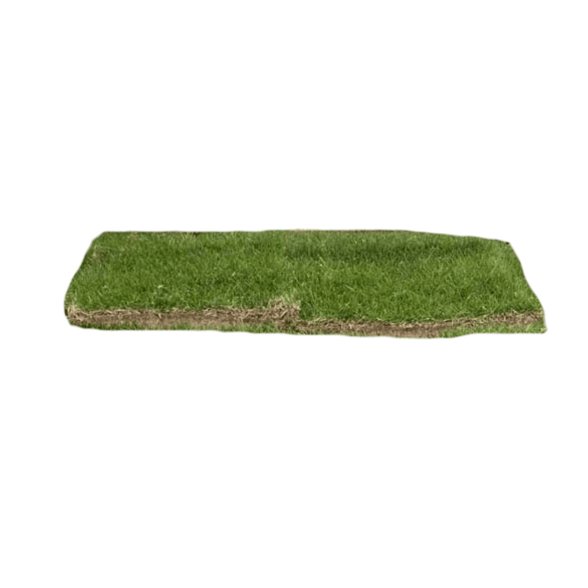 Grass Piece