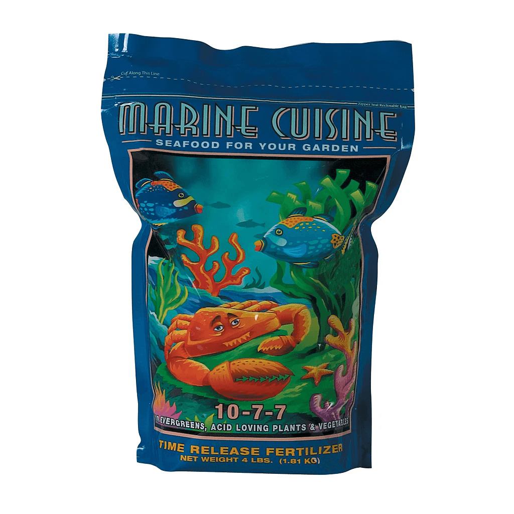 Marine Cuisine