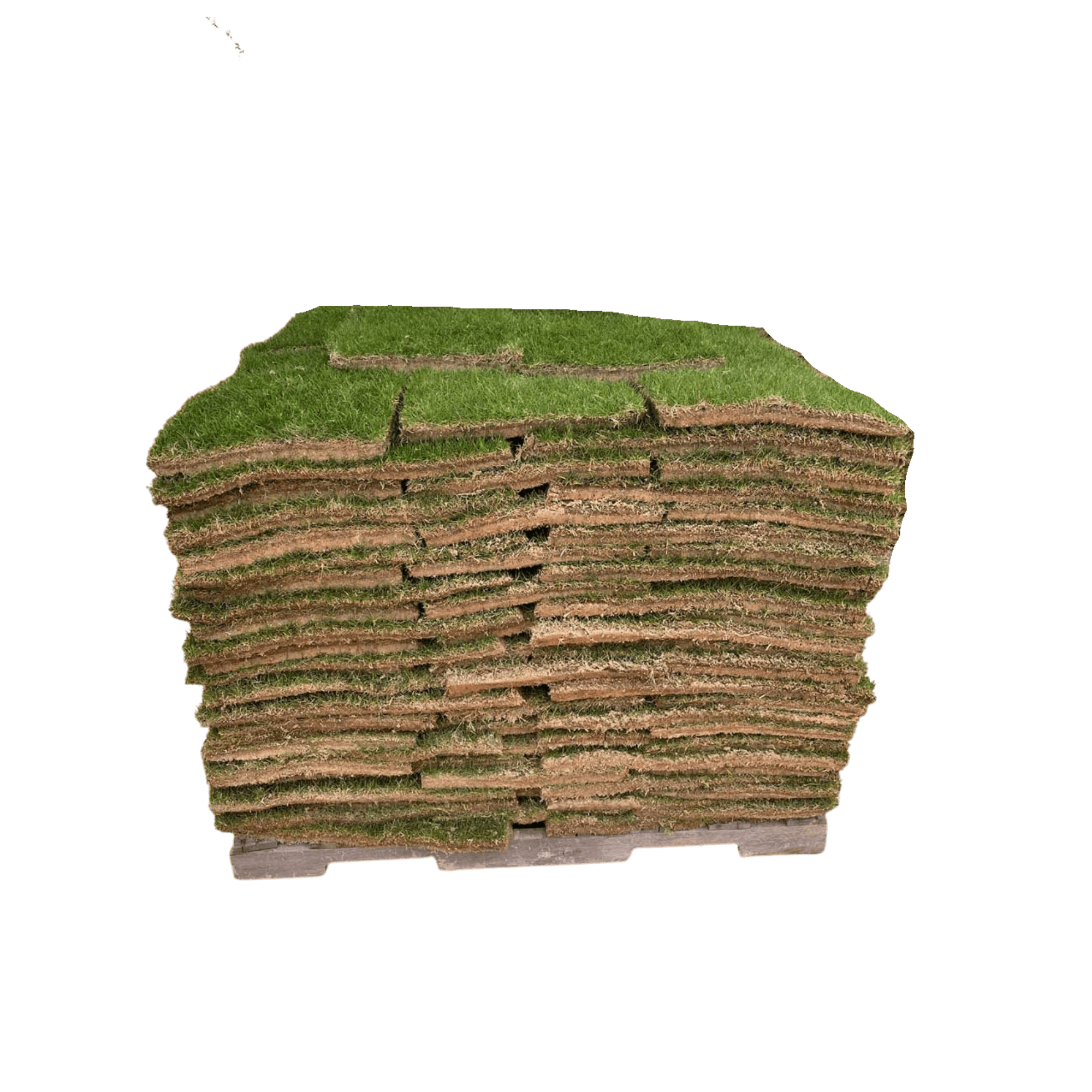 Bermuda Pallet — image 1
